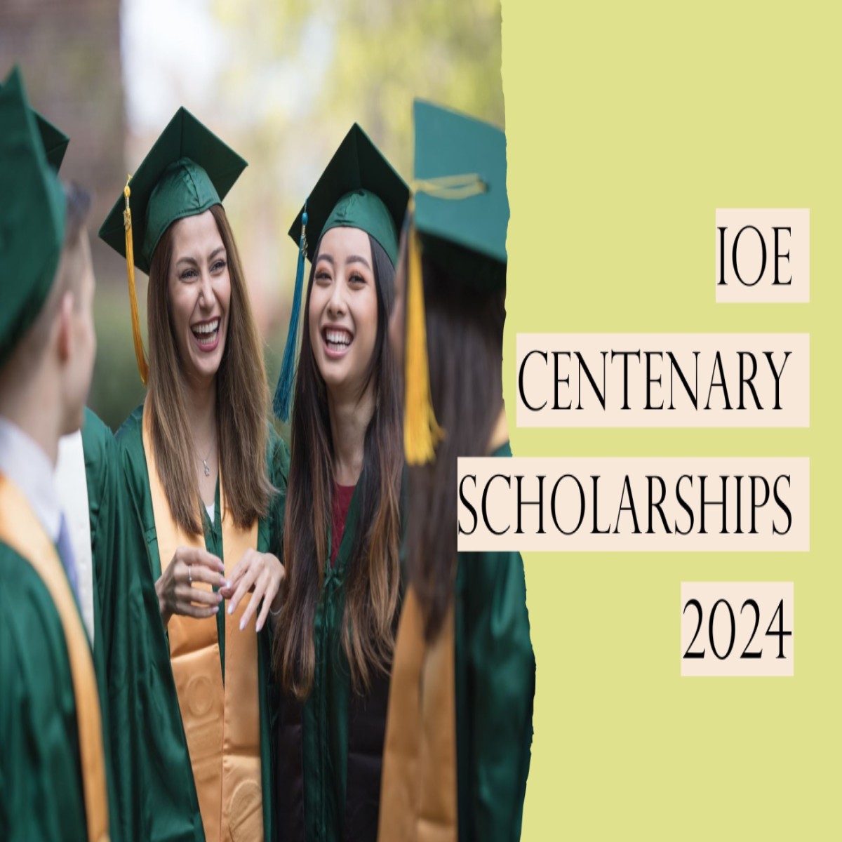 IOE Centenary Masters Scholarships 2024-2025
